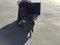 CERTIFIED USED1051 - MINI BRUSH CHIPPER-TORO MOUNT - $5,995 +FREIGHT