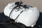 Another image shown of the OPTIONAL water kit with the self-priming diaphragm
